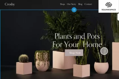 Squarespace Website Templates